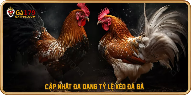 Cập nhật đa dạng tỷ lệ kèo đá gà