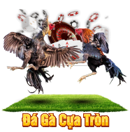 Đá Gà Cựa Tròn GA179