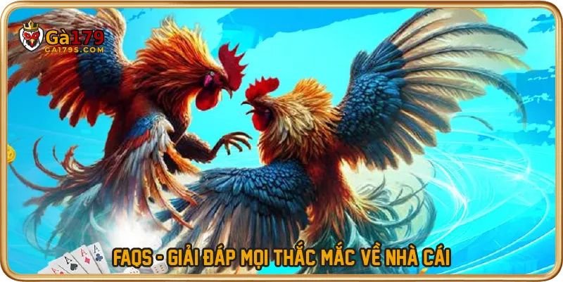 FAQs - Giải đáp mọi thắc mắc về nhà cái