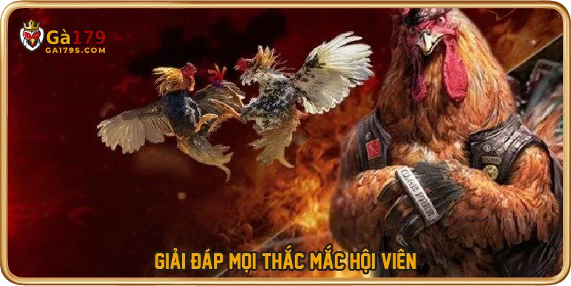 Giải đáp mọi thắc mắc hội viên